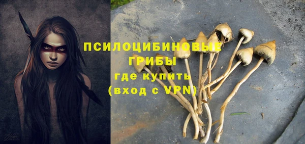 PSILOCYBIN Арсеньев